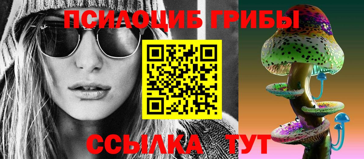 Псилоцибиновые грибы прущие грибы  Галлюциногенные грибы Psilocybine cubensis  Ступино  Вход с VPN 