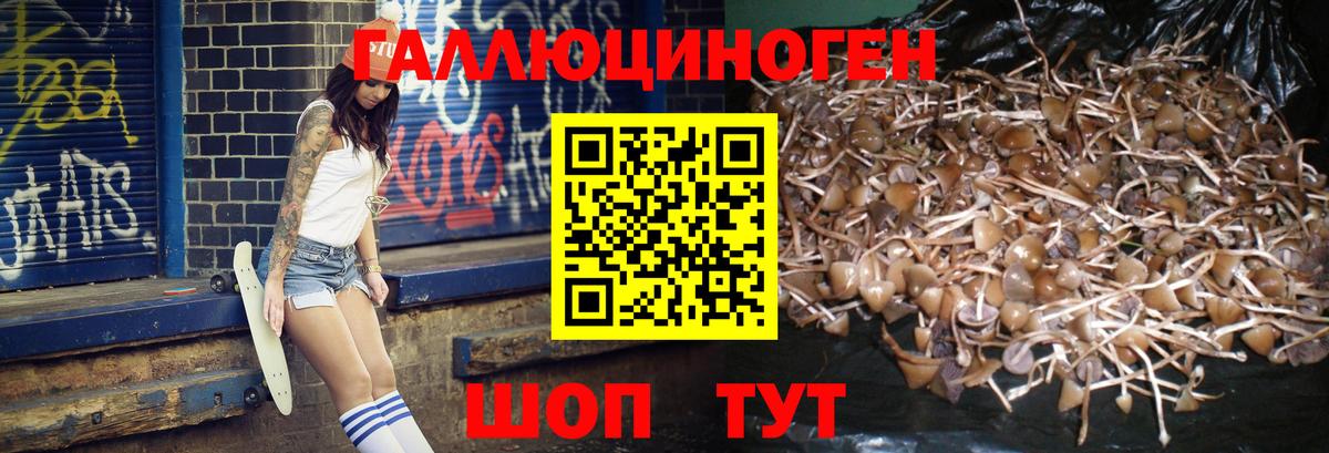 Псилоцибиновые грибы прущие грибы Ступино